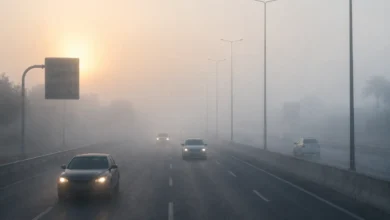 الطقس غدًا